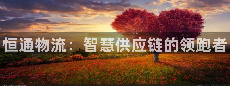 多多28官网网站：恒通物流：智慧供应