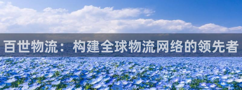 多多28流水怎么算：百世物流：构建全
