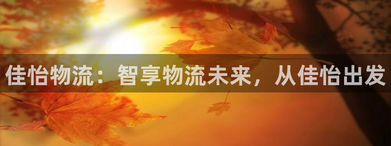 多多28怎么申请代理：佳怡物流：智享物流未来，从佳怡出发