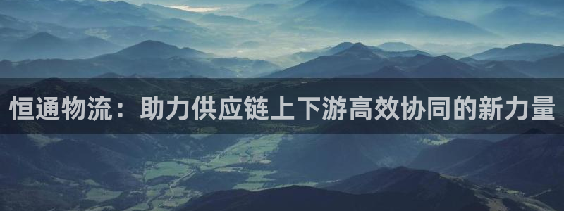 多多28注册入口与教程：恒通物流：助力供应链上下游高效协同的