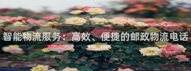多多28软件总是闪退怎么回事：智能物