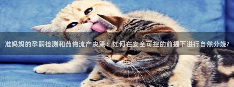 多多28口内径是多大：准妈妈的孕酮检测和药物流产决策：如何在