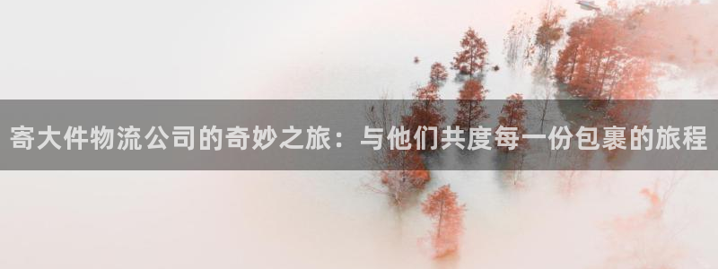 多多28充值不到账：寄大件物流公司的