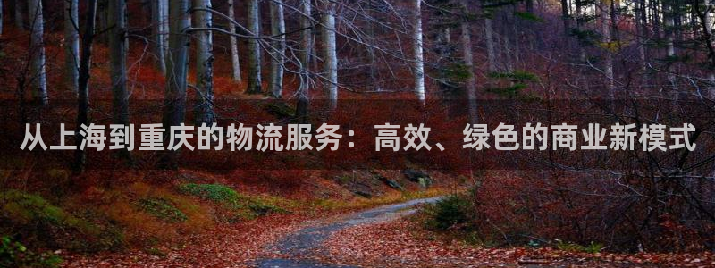 多多28平台注册：从上海到重庆的物流