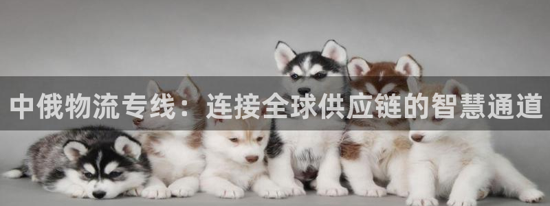多多28吧：中俄物流专线：连接全球供