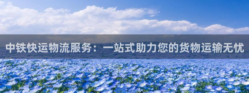 多多28推广链接是多少钱一个：中铁快运物流服务：一站式助力您