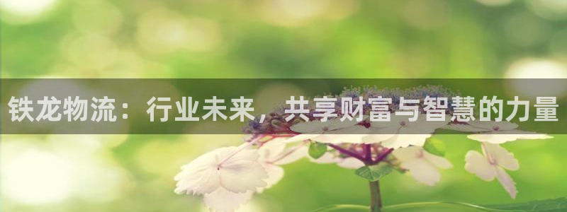 多多28官网多少：铁龙物流：行业未来