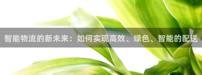 多多28官网入口o：智能物流的新未来