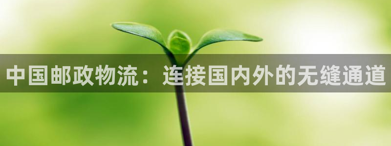多多28登录不上咋回事：中国邮政物流