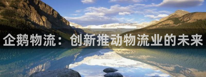 多多28怎么注册：企鹅物流：创新推动