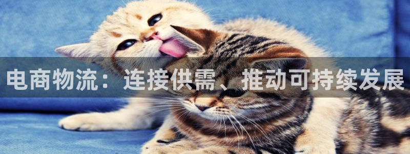 多多28注册号：电商物流：连接供需、