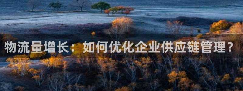 多多28加拿大是什么：物流量增长：如