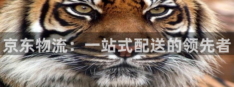 多多28为什么打不开：京东物流：一站