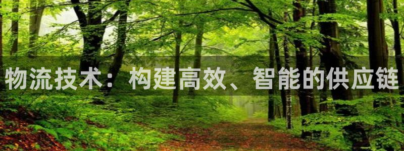 多多28app官网少林足球：物流技术