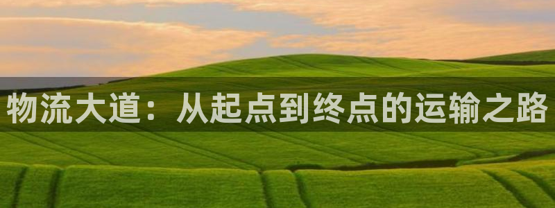 多多28官方：物流大道：从起点到终点