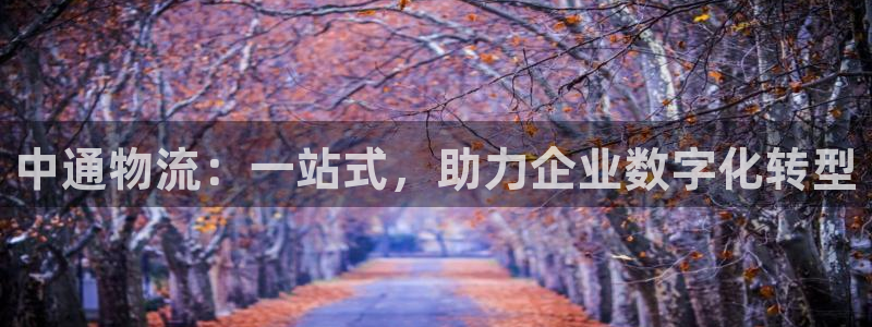 多多28注册条件：中通物流：一站式，