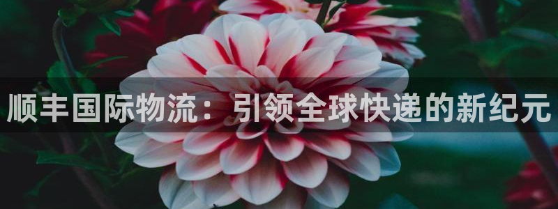 多多28注册过了警察知道吗：顺丰国际