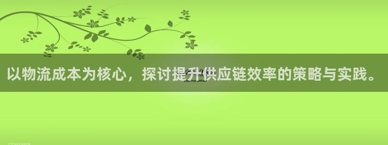 多多28图片：以物流成本为核心，探讨