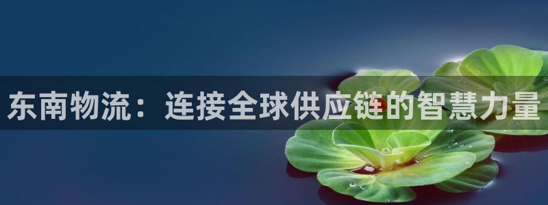 多多28游戏官网版：东南物流：连接全