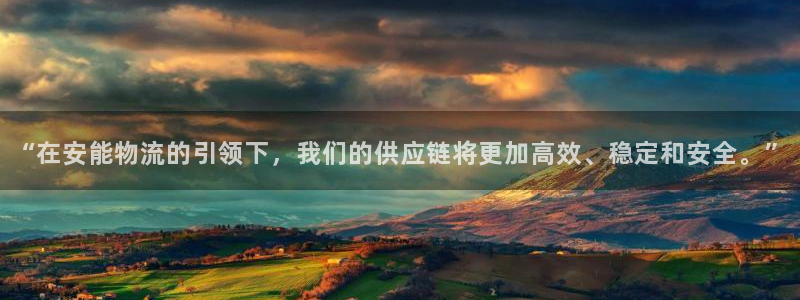 多多28下载二维码怎么弄：“在安能物