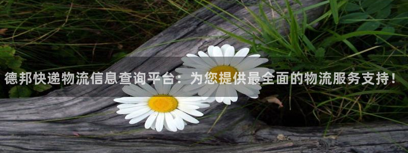 多多28入口问一问：德邦快递物流信息