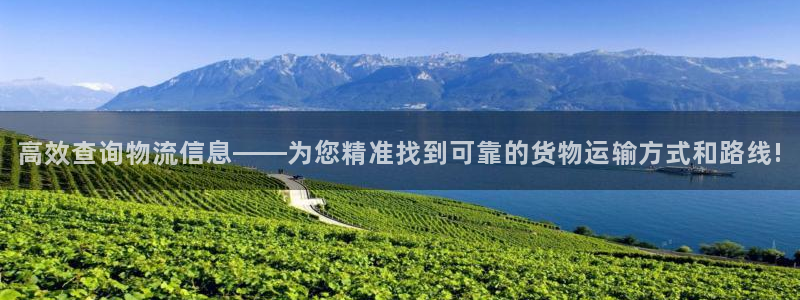 多多28如何注销账号：高效查询物流信