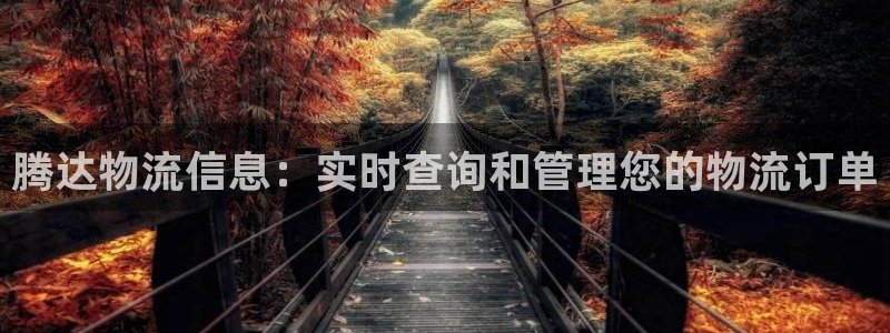 多多28昵称：腾达物流信息：实时查询