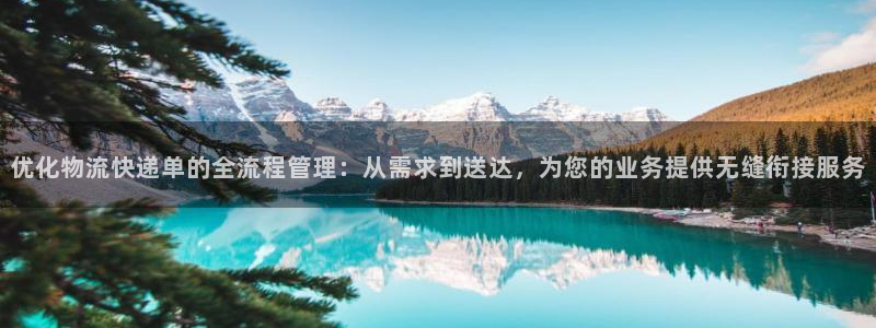 多多28怎么下载不了：优化物流快递单