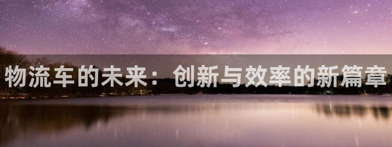 多多28如何退款：物流车的未来：创新
