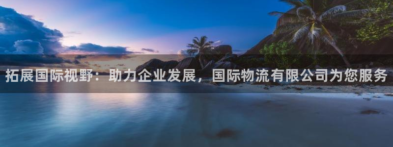 多多28自行车图片：拓展国际视野：助