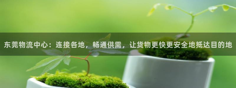 多多28充值不到账：东莞物流中心：连