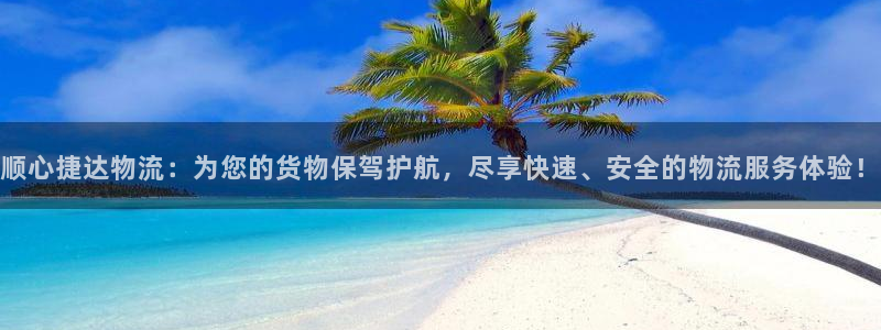 多多28加拿大预测：顺心捷达物流：为