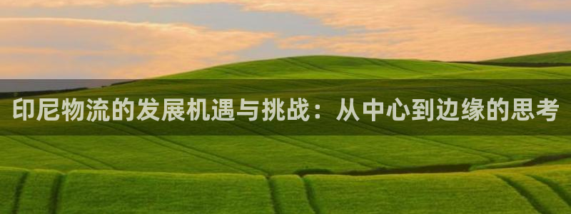 多多28分分28预测：印尼物流的发展