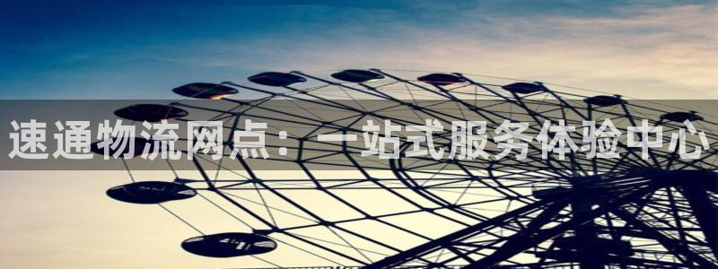 多多28加拿大技巧：速通物流网点：一