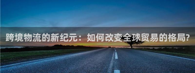 多多28注册平台:跨境物流的新纪元: