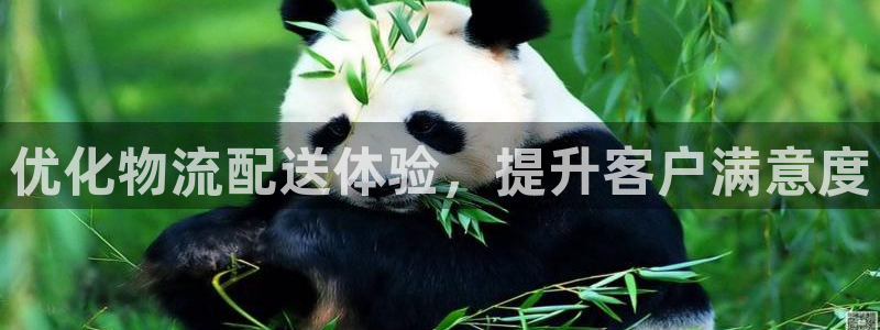 多多28在线预测官网:优化物流配送体