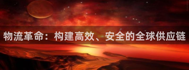 多多28加拿大技巧:物流革命:构建高