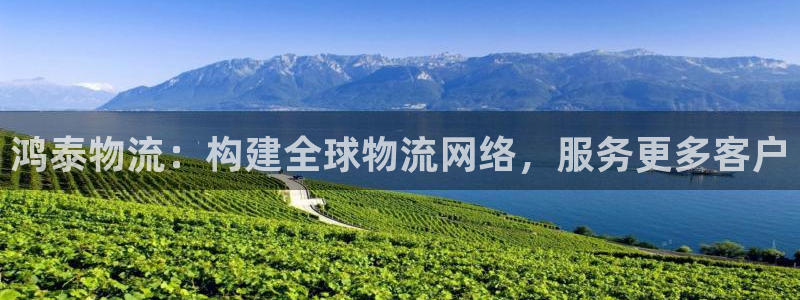 多多28反水什么时候到：鸿泰物流：构