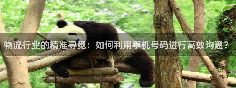 麻将1多多28:物流行业的精准寻觅: