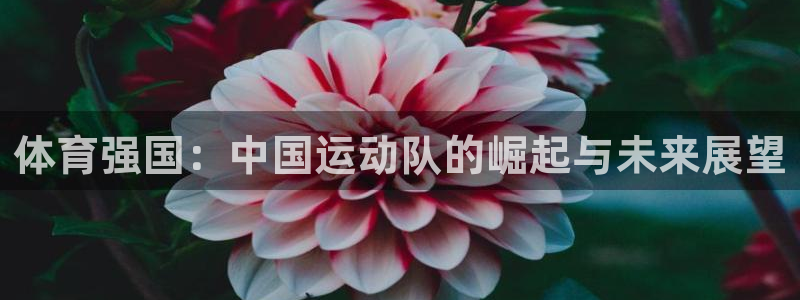 球客岛：体育强国：中国运动队的崛起与未来展望