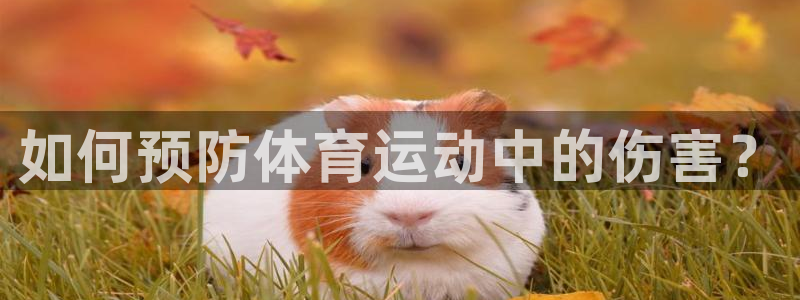 球客岛：如何预防体育运动中的伤害？