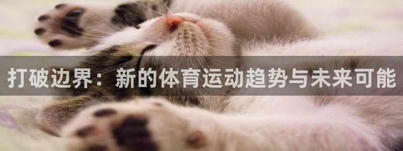 球客岛：打破边界：新的体育运动趋势与未来可能