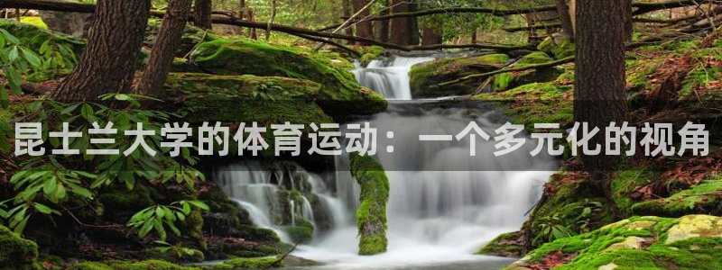 球客岛：昆士兰大学的体育运动：一个多元化的视角