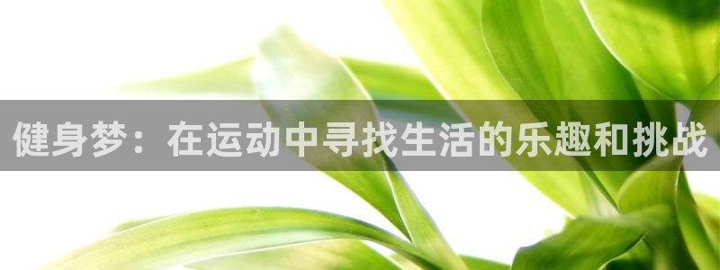 球客岛：健身梦：在运动中寻找生活的乐趣和挑战