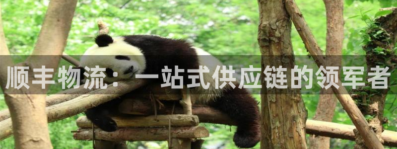 多多28游戏官网入口：顺丰物流：一站