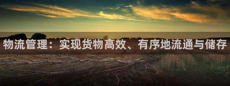 多多28注册送：物流管理：实现货物高