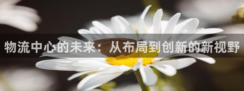 多多28技巧：物流中心的未来：从布局